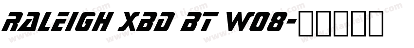 Raleigh XBd BT W08字体转换